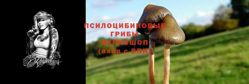 площадка Telegram  Джанкой  Галлюциногенные грибы Magic Shrooms  магазин продажи  